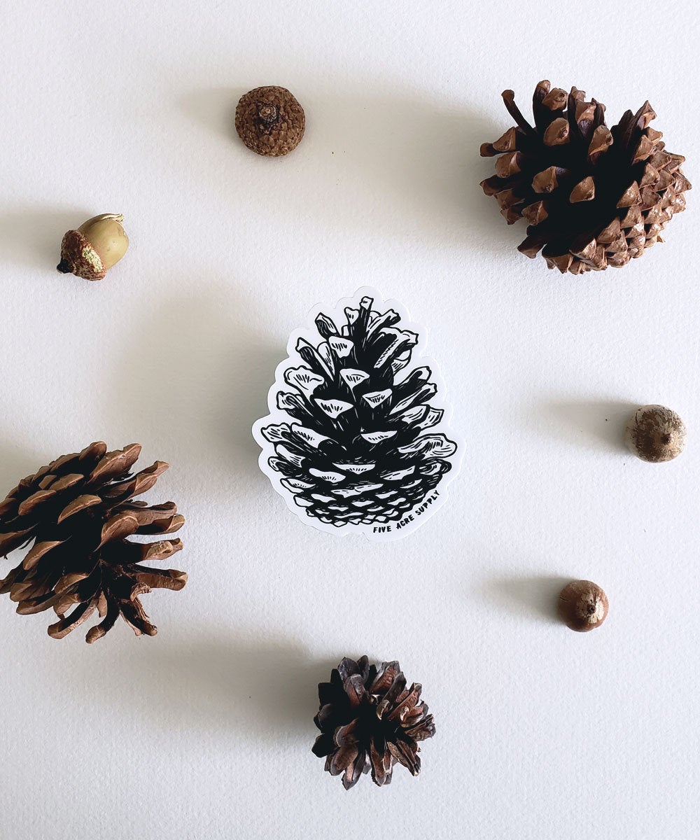 Pinecone Sticker